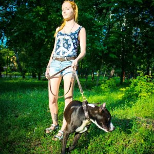 Прогулочный поводок ручной работы для амстаффа